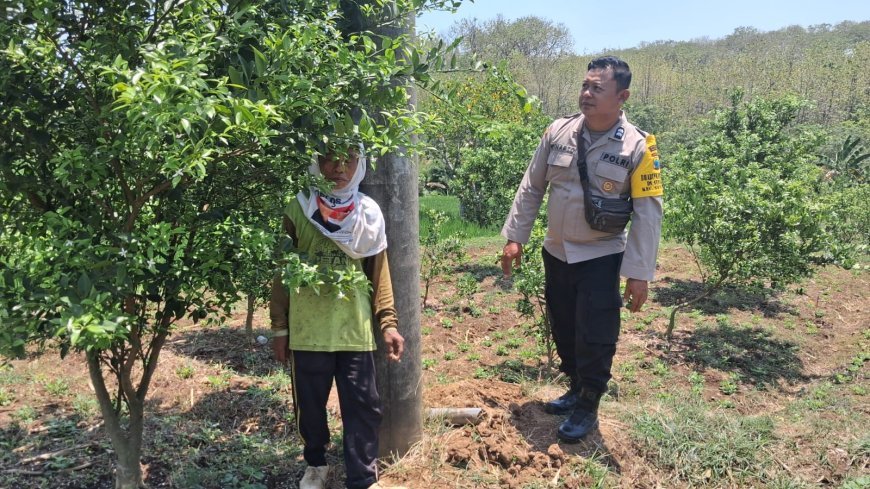 Dorong Kemandirian Ekonomi Keluarga melalui Tanaman Produktif